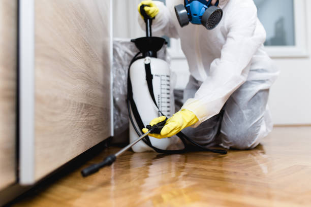  East Ridge, TN Pest Control Pros