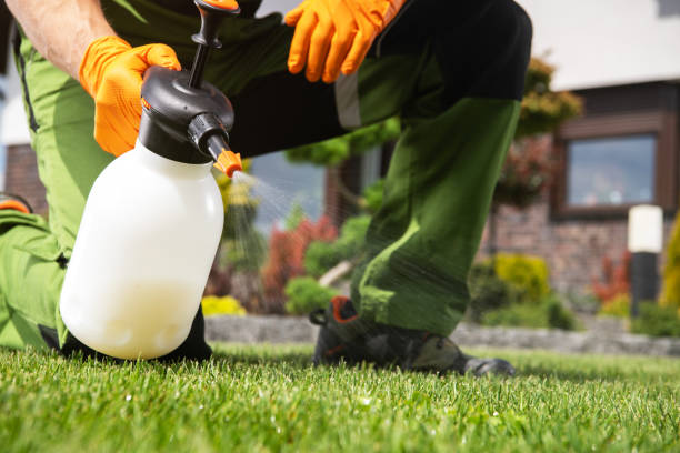 Best Pest Prevention Services  in East Ridge, TN