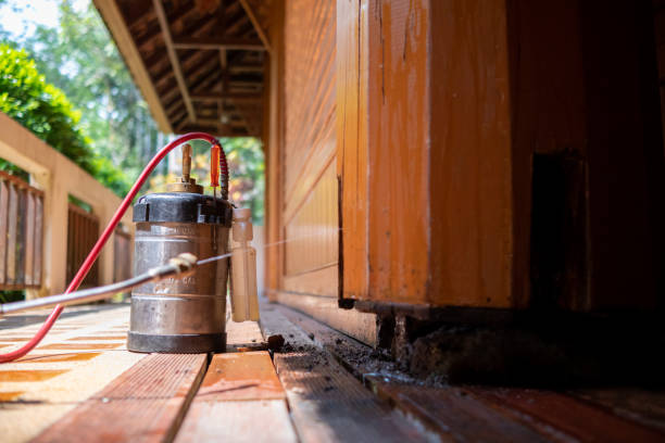 Best Best Pest Control Companies  in East Ridge, TN